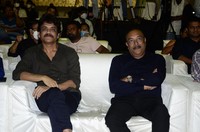 Love Story Magical Success Meet